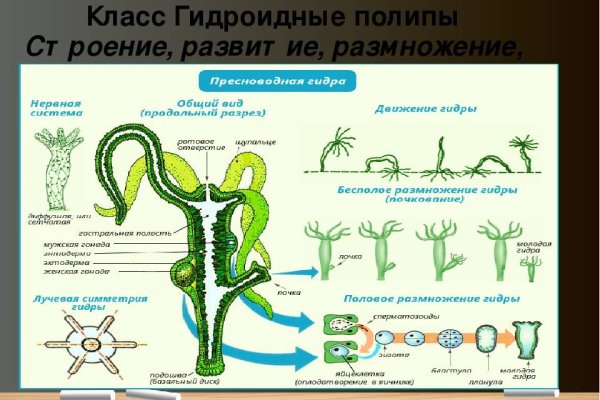 Кракен дарк