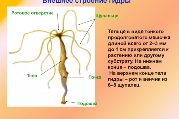 Кракен сайт маркетплейс